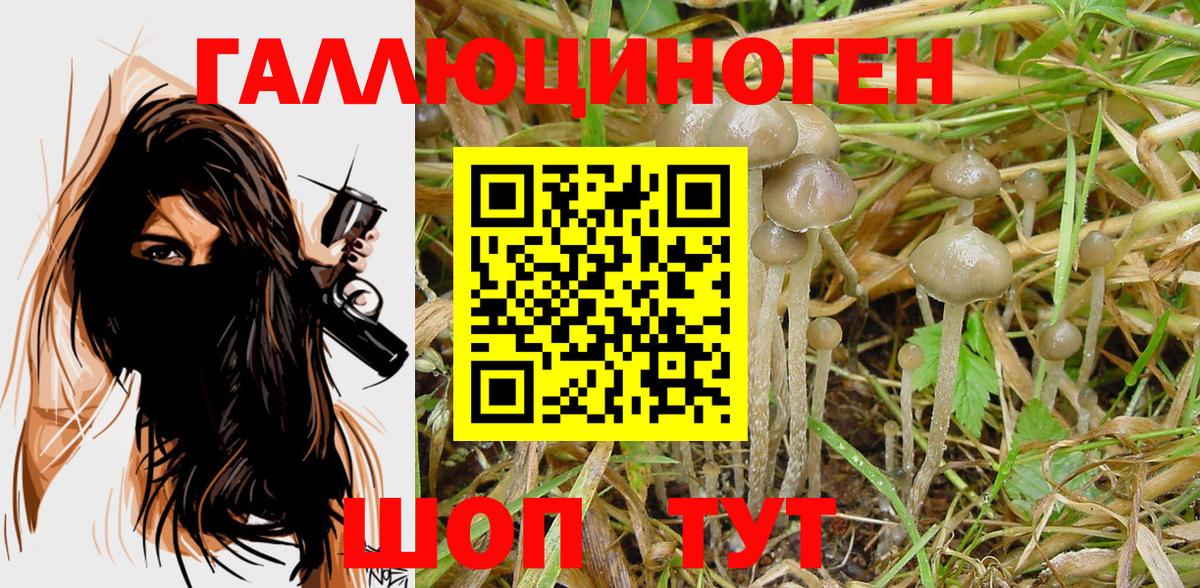 Псилоцибиновые грибы мухоморы  Вход с VPN  Псилоцибиновые грибы MAGIC MUSHROOMS  Уссурийск 